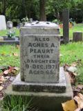 image of grave number 971733
